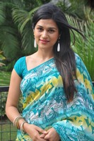 Shraddha Das Saree Pics